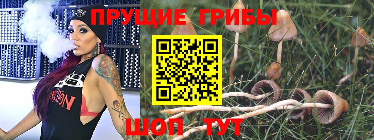 Борисоглебск  Галлюциногенные грибы Cubensis  Вход с VPN 