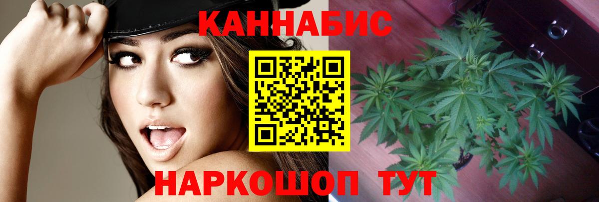 Бошки Шишки планчик Борисоглебск